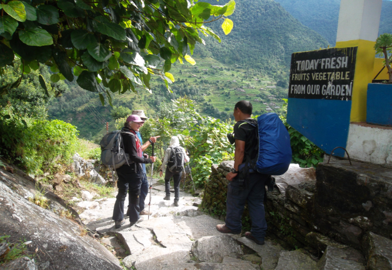 Mountain Guide in Nepal